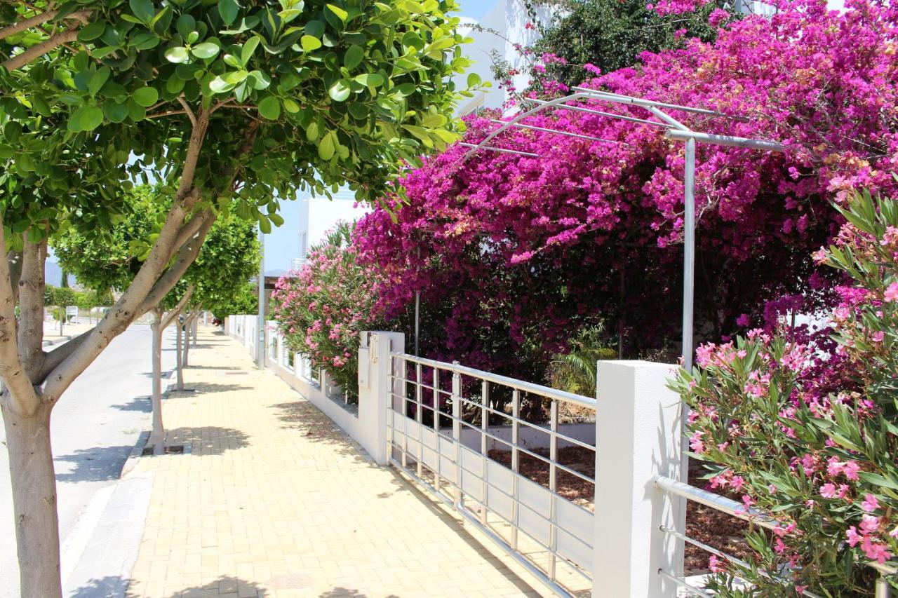 Caesar Beach Villas And Apartments Gastria Dış mekan fotoğraf