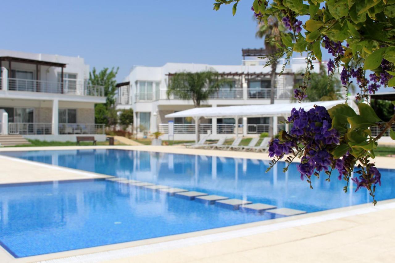 Caesar Beach Villas And Apartments Gastria Dış mekan fotoğraf